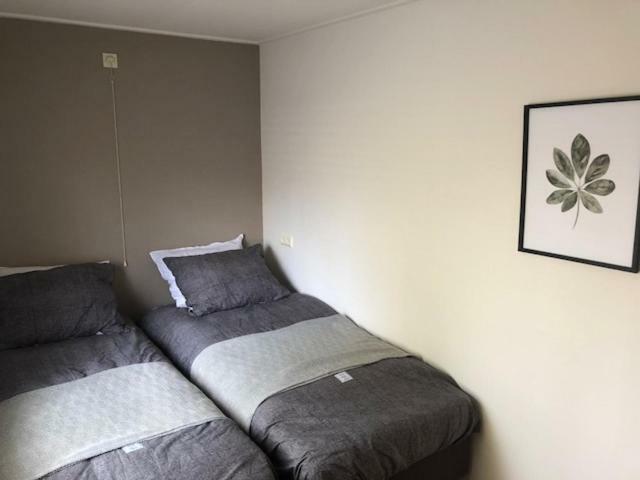 Bungalow De Groene Ster