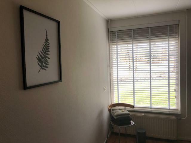 Bungalow De Groene Ster *